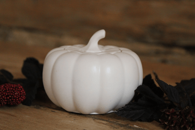 Pot cirtouille blanc 
